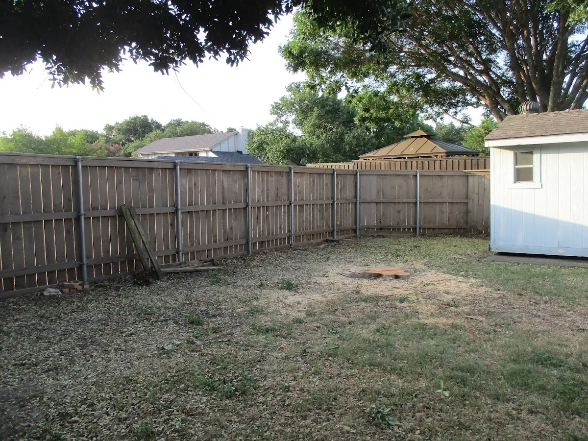 Cleared yard after professional tree removal in Bow